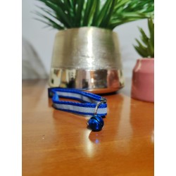 Collier chiens et chats fluorescent