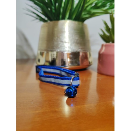 Collier chiens et chats fluorescent