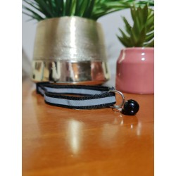 Collier chiens et chats fluorescent