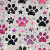 Pattes de chiens & brillance