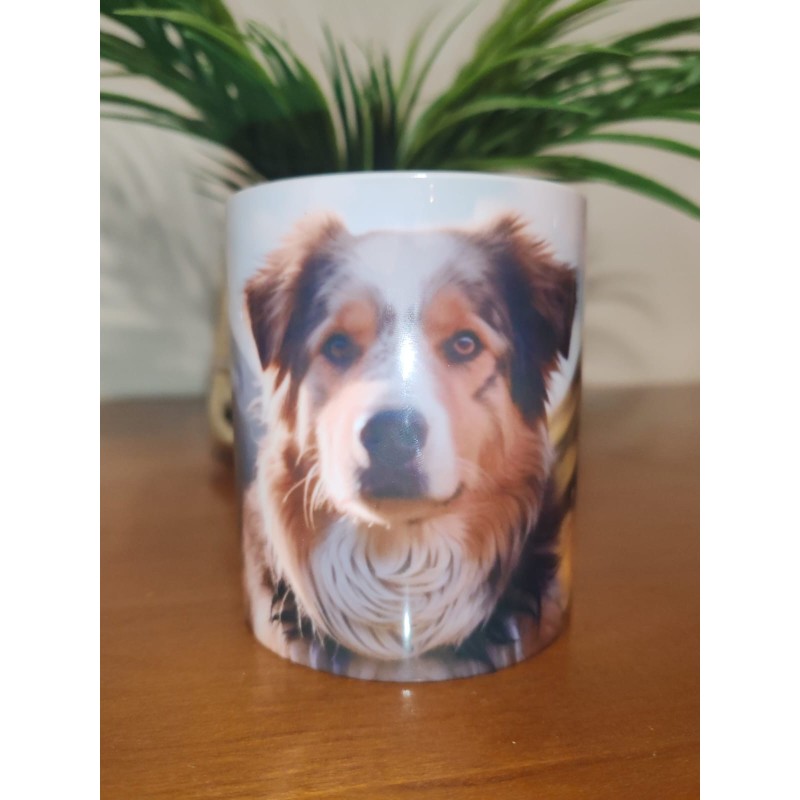 Tasse berger australien