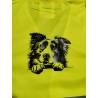 Gilet jaune border colley taille M
