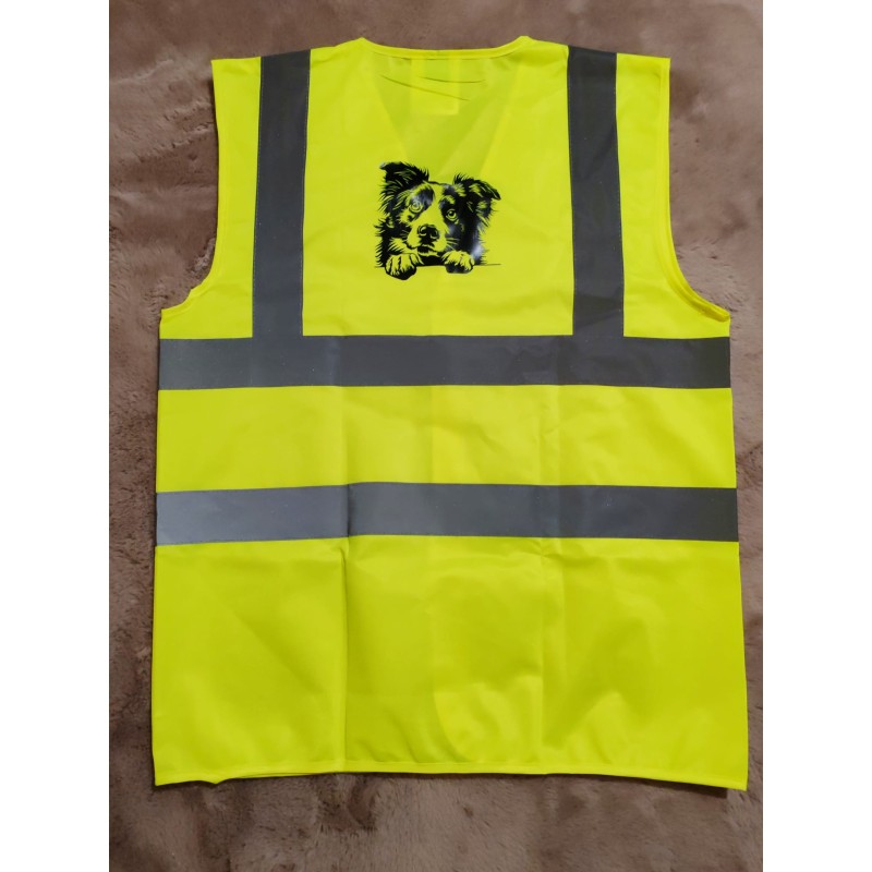 Gilet jaune border colley taille M
