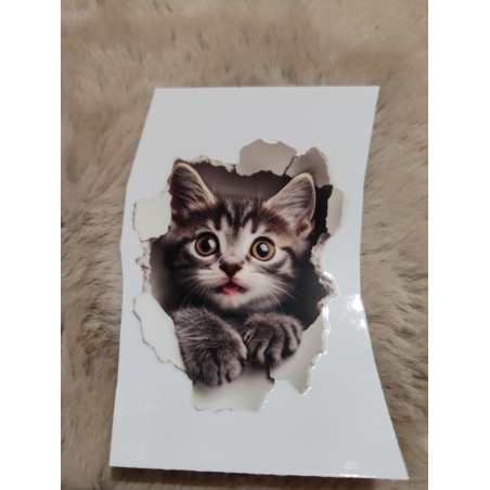 DTF chats pour tasse