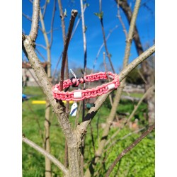 Collier adieu tiques chiens et chats