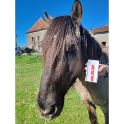 Charm Adieu tiques cheval