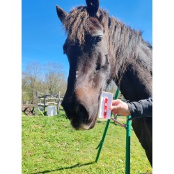 Charm Adieu tiques cheval