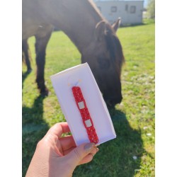 Charm Adieu tiques cheval