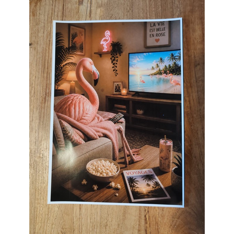 Photo humoristique